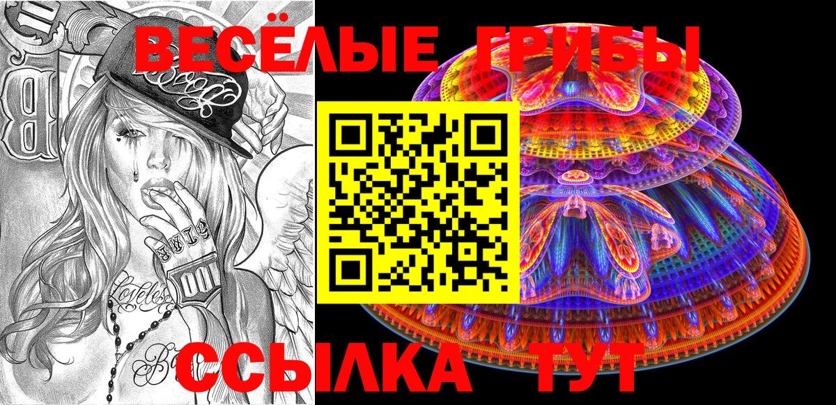 Псилоцибиновые грибы GOLDEN TEACHER Среднеуральск